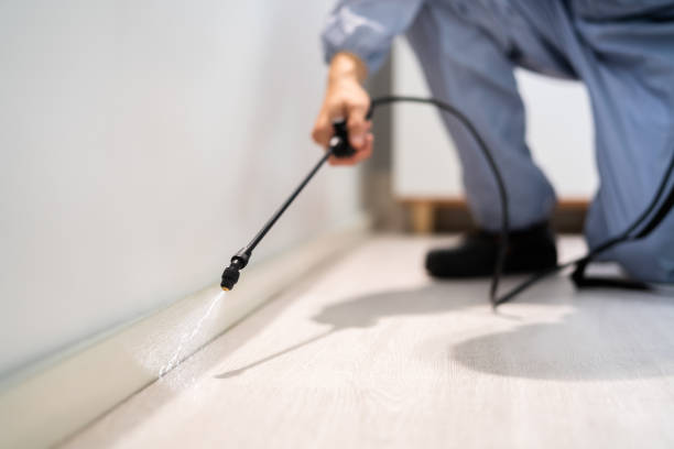 Professional exterminator conducting IPM assessment in Troy